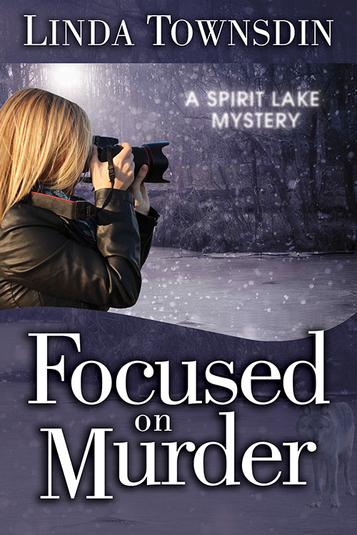 Linda Townsdin, mystery, books, mystery series, novel, fiction, murder mystery, Spirit Lake mystery series, Spirit Lake, Focused on Murder